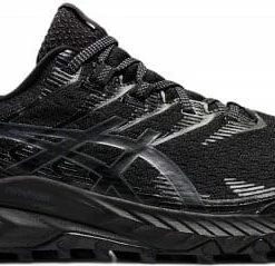Trail shoes Asics GEL-Trabuco 10 GTX