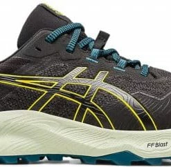 Trail shoes Asics GEL-Trabuco 11 GTX