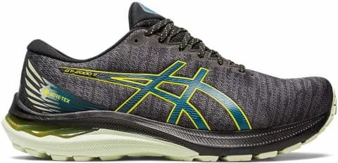 Running shoes Asics GT-2000 11 GTX
