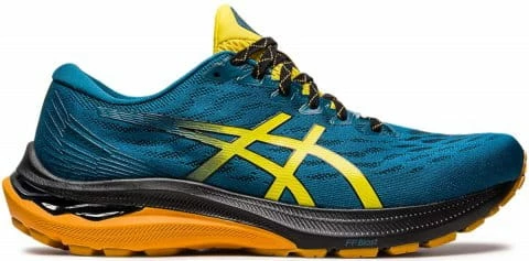 Trail shoes Asics GT-2000 11 TR